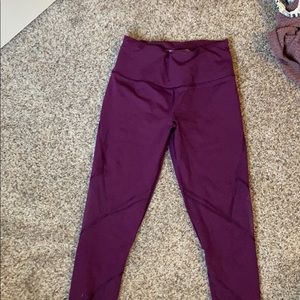 victoria sport leggings with mesh